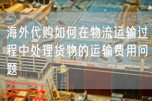 海外代购如何在物流运输过程中处理货物的运输费用问题