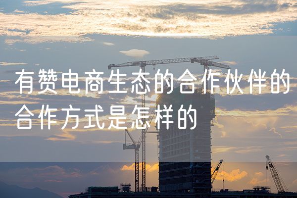 有赞电商生态的合作伙伴的合作方式是怎样的