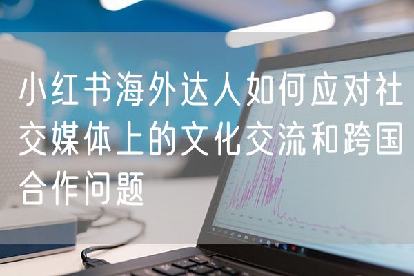 小红书海外达人如何应对社交媒体上的文化交流和跨国合作问题