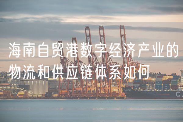 海南自贸港数字经济产业的物流和供应链体系如何