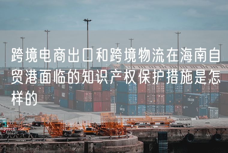 跨境电商出口和跨境物流在海南自贸港面临的知识产权保护措施是怎样的