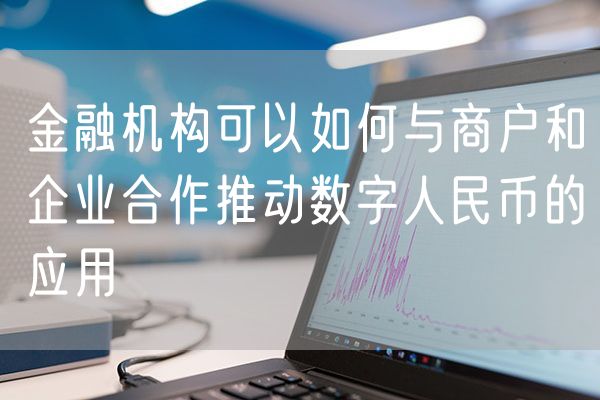 金融机构可以如何与商户和企业合作推动数字人民币的应用
