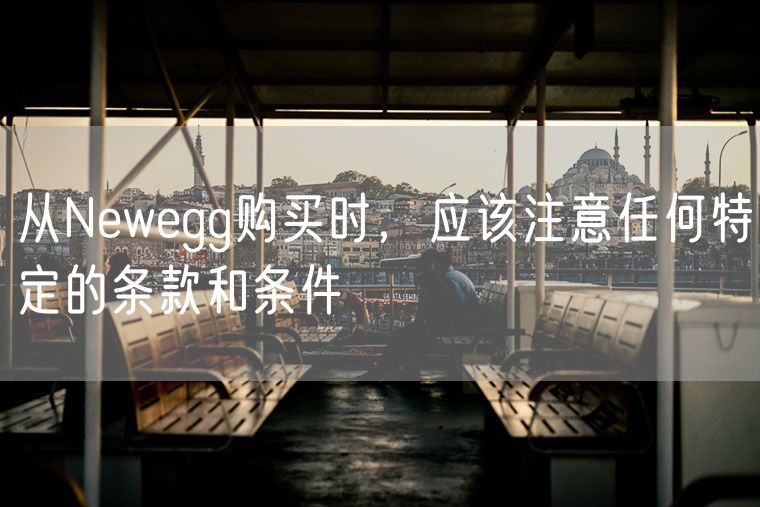 从Newegg购买时，应该注意任何特定的条款和条件