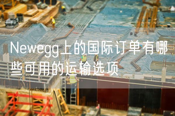 Newegg上的国际订单有哪些可用的运输选项
