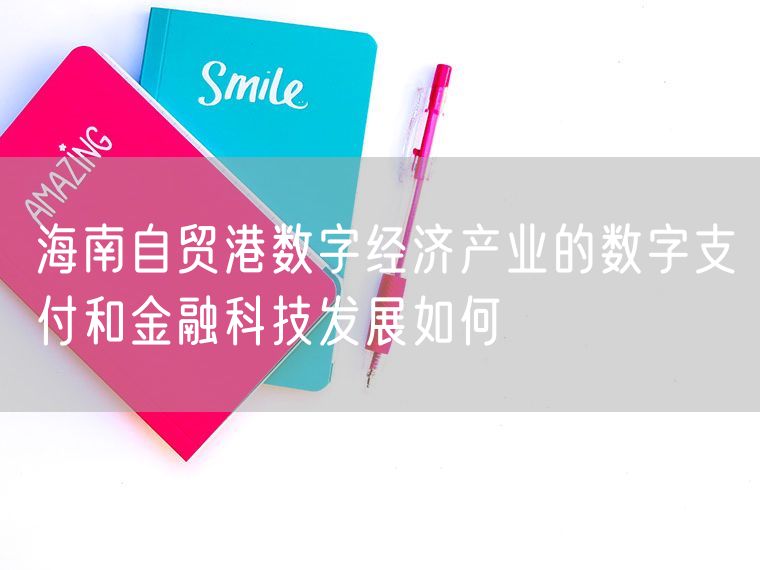 海南自贸港数字经济产业的数字支付和金融科技发展如何