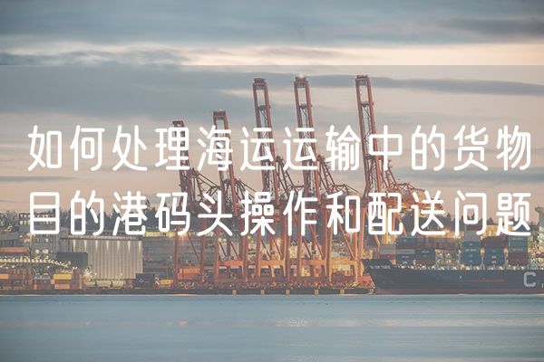 如何处理海运运输中的货物目的港码头操作和配送问题