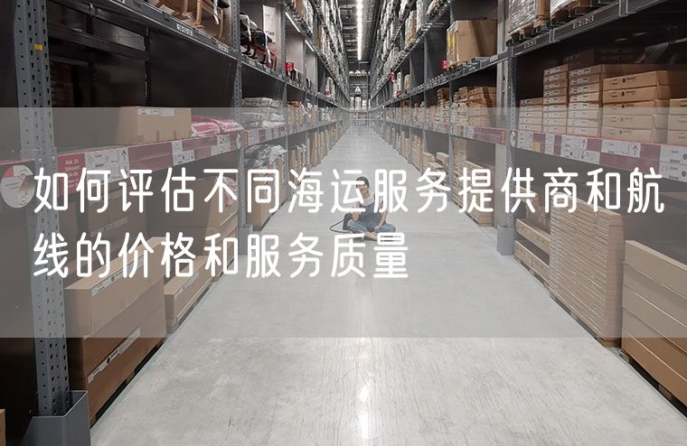 如何评估不同海运服务提供商和航线的价格和服务质量