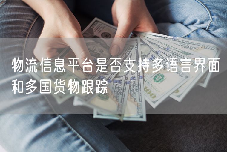 物流信息平台是否支持多语言界面和多国货物跟踪