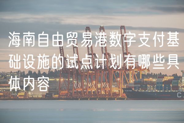 海南自由贸易港数字支付基础设施的试点计划有哪些具体内容