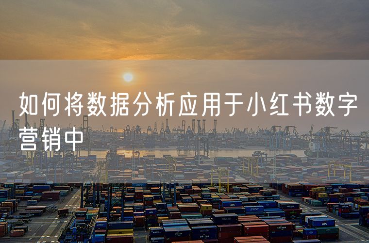 如何将数据分析应用于小红书数字营销中
