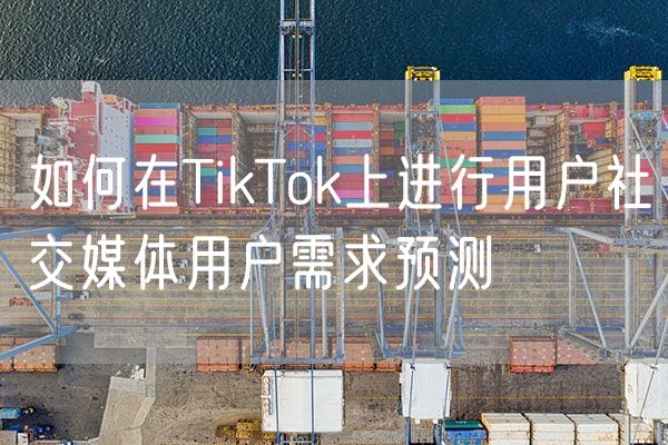 如何在TikTok上进行用户社交媒体用户需求预测