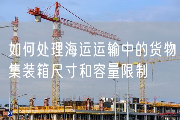 如何处理海运运输中的货物集装箱尺寸和容量限制