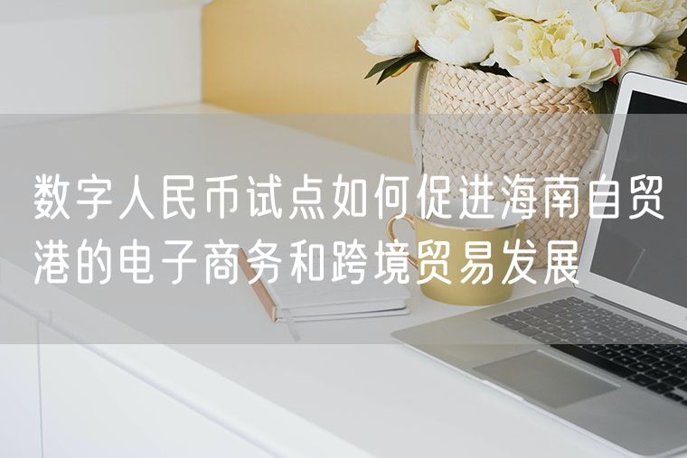 数字人民币试点如何促进海南自贸港的电子商务和跨境贸易发展