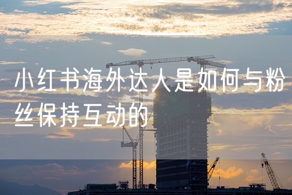 小红书海外达人是如何与粉丝保持互动的