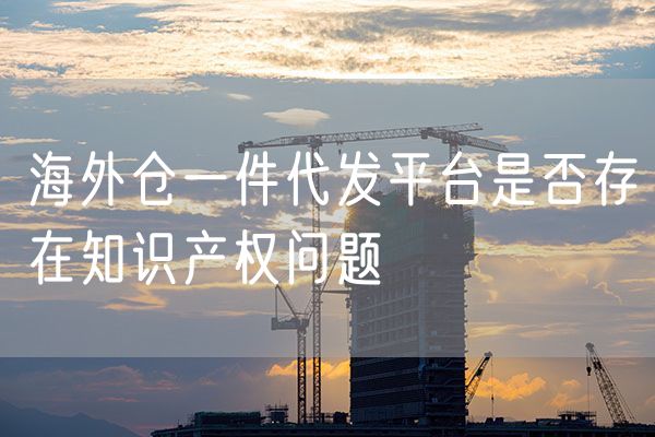 海外仓一件代发平台是否存在知识产权问题