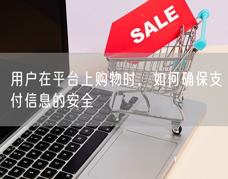 用户在平台上购物时，如何确保支付信息的安全