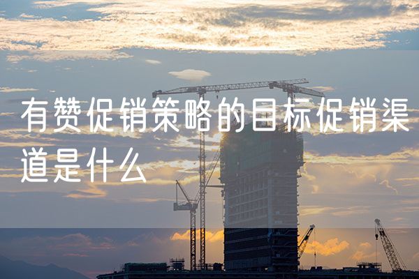 有赞促销策略的目标促销渠道是什么