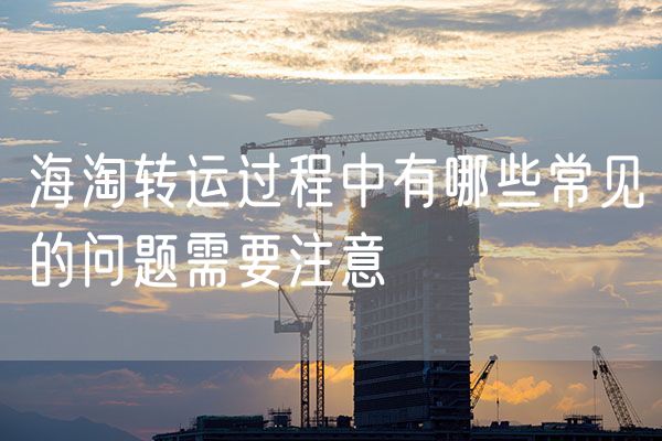 海淘转运过程中有哪些常见的问题需要注意