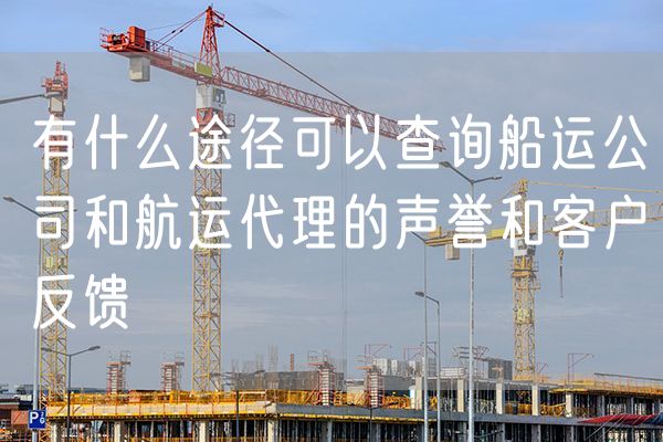 有什么途径可以查询船运公司和航运代理的声誉和客户反馈