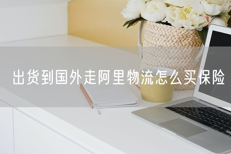 出货到国外走阿里物流怎么买保险