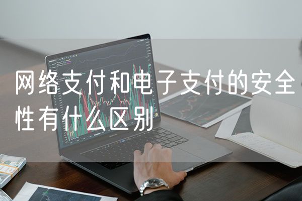 网络支付和电子支付的安全性有什么区别