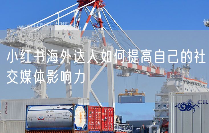 小红书海外达人如何提高自己的社交媒体影响力
