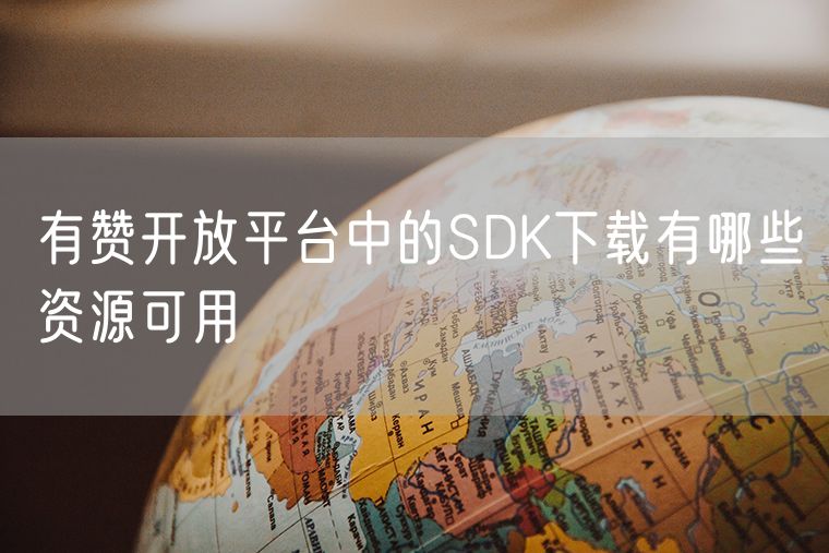 有赞开放平台中的SDK下载有哪些资源可用