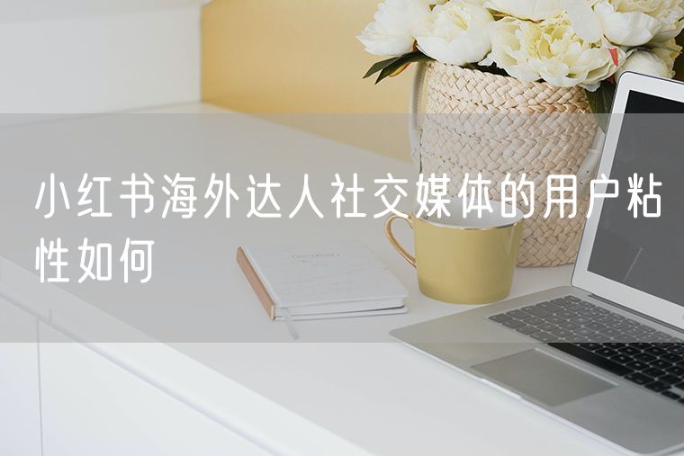 小红书海外达人社交媒体的用户粘性如何