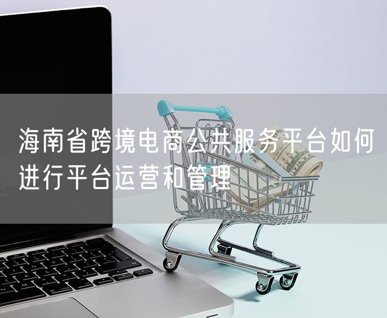 海南省跨境电商公共服务平台如何进行平台运营和管理