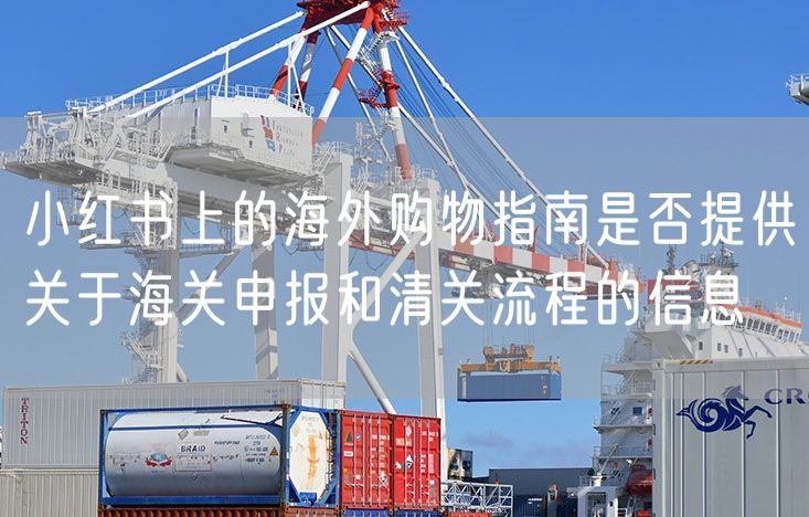 小红书上的海外购物指南是否提供关于海关申报和清关流程的信息