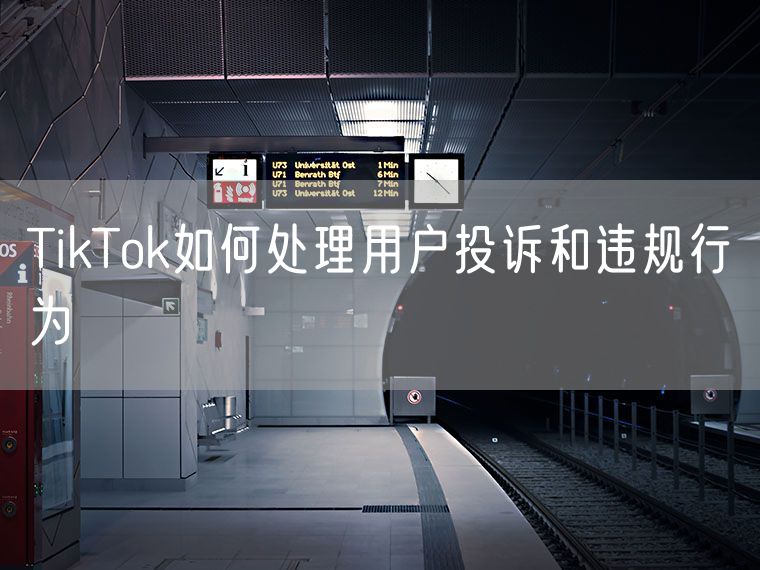 TikTok如何处理用户投诉和违规行为