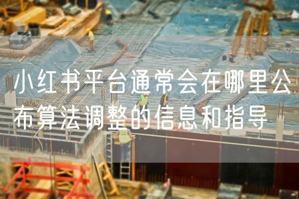 小红书平台通常会在哪里公布算法调整的信息和指导