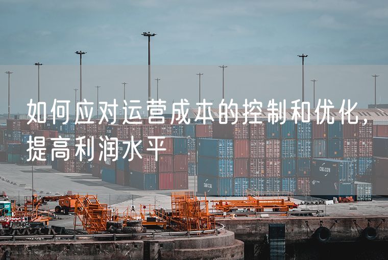 如何应对运营成本的控制和优化，提高利润水平