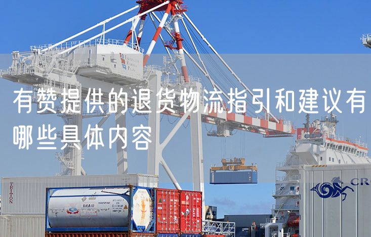 有赞提供的退货物流指引和建议有哪些具体内容