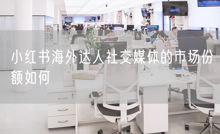 小红书海外达人社交媒体的市场份额如何