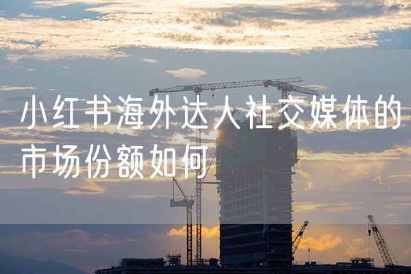 小红书海外达人社交媒体的市场份额如何