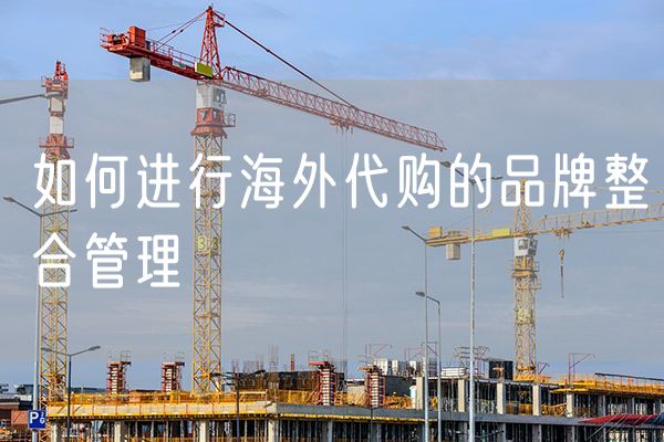 如何进行海外代购的品牌整合管理
