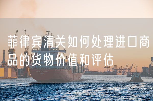 菲律宾清关如何处理进口商品的货物价值和评估