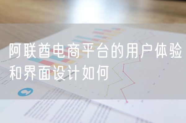 阿联酋电商平台的用户体验和界面设计如何