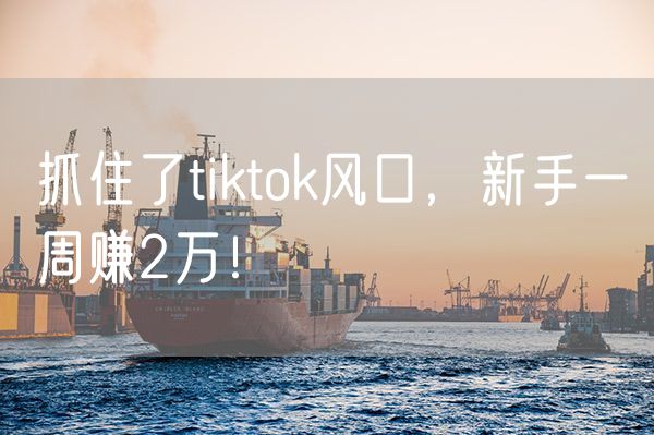 抓住了tiktok风口，新手一周赚2万！
