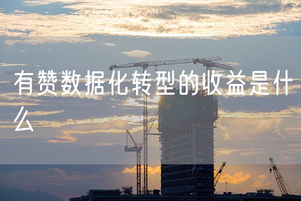 有赞数据化转型的收益是什么