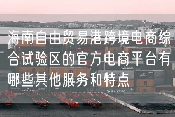 海南自由贸易港跨境电商综合试验区的官方电商平台有哪些其他服务和特点