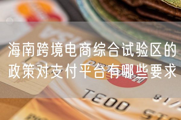 海南跨境电商综合试验区的政策对支付平台有哪些要求