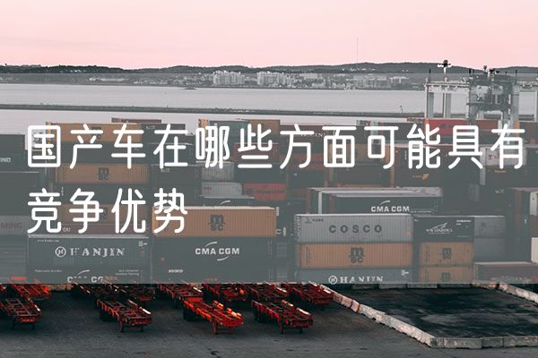 国产车在哪些方面可能具有竞争优势