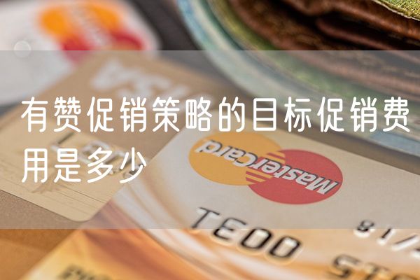 有赞促销策略的目标促销费用是多少