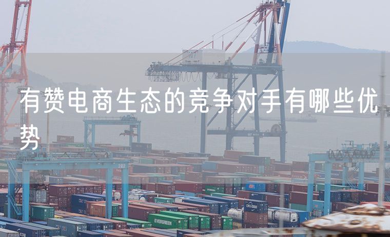有赞电商生态的竞争对手有哪些优势