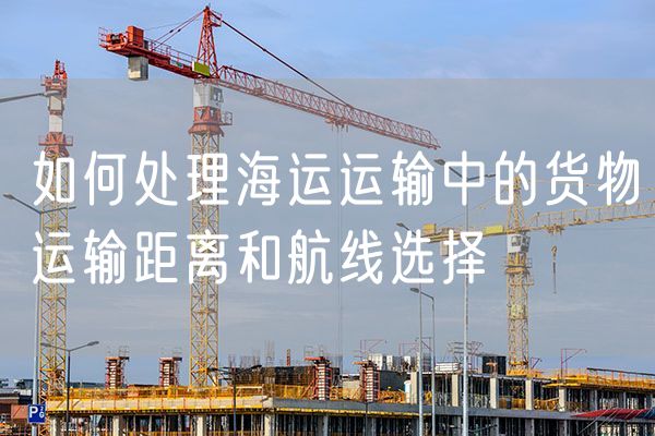 如何处理海运运输中的货物运输距离和航线选择