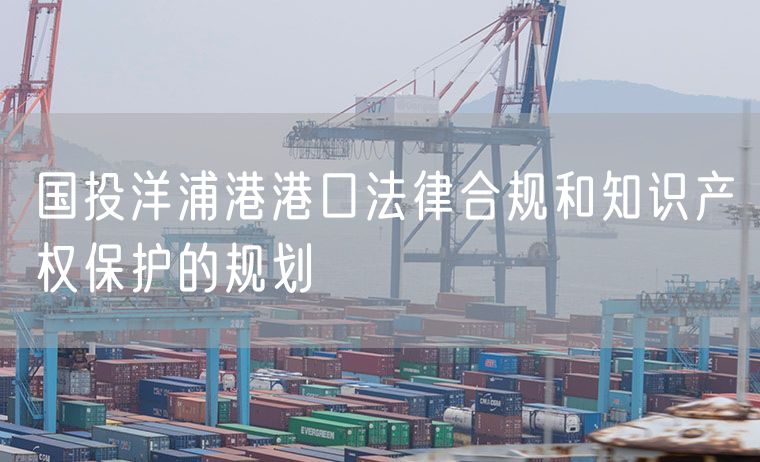 国投洋浦港港口法律合规和知识产权保护的规划