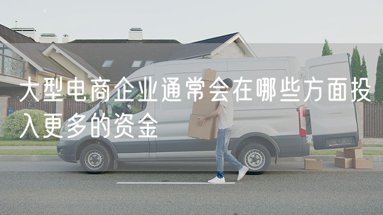 大型电商企业通常会在哪些方面投入更多的资金