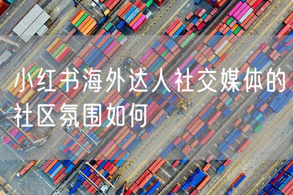 小红书海外达人社交媒体的社区氛围如何